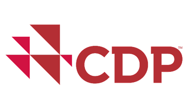 Partner logo